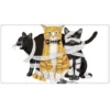 Mary Lake-Thompson All Tied Up, Halloween Cats Towel
