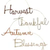 Bethany Lowe Cursive Fall Word Ornaments