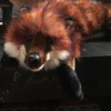 TheHolidayBarn.com Red Fox Plush
