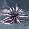 TheHolidayBarn.com Wicked Witch Purple Tillandsia Stem Halloween