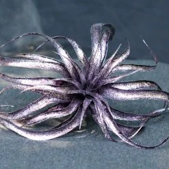 TheHolidayBarn.com Wicked Witch Purple Tillandsia Stem Halloween